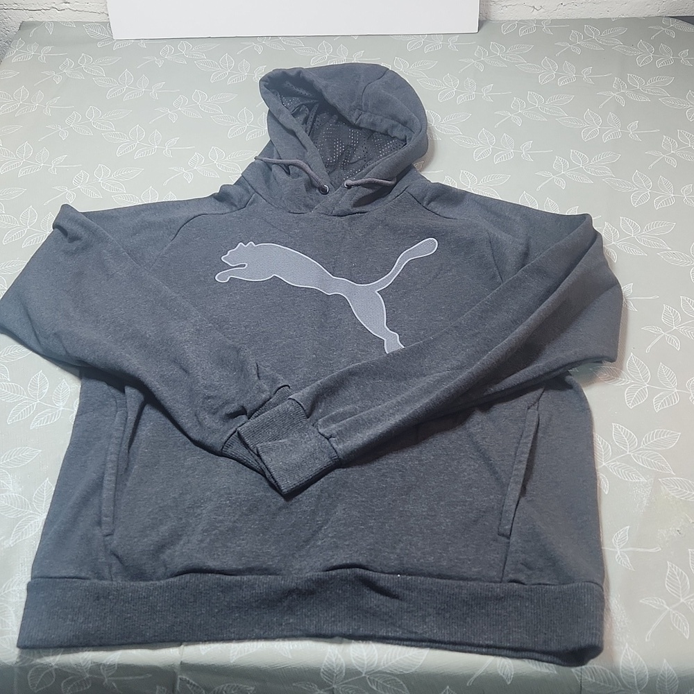 Puma Hooded Sweatshirt
